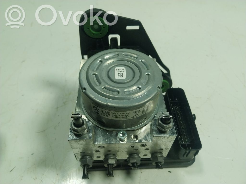 ABS Pump   5WA614517BMBEF,5WA614517BM