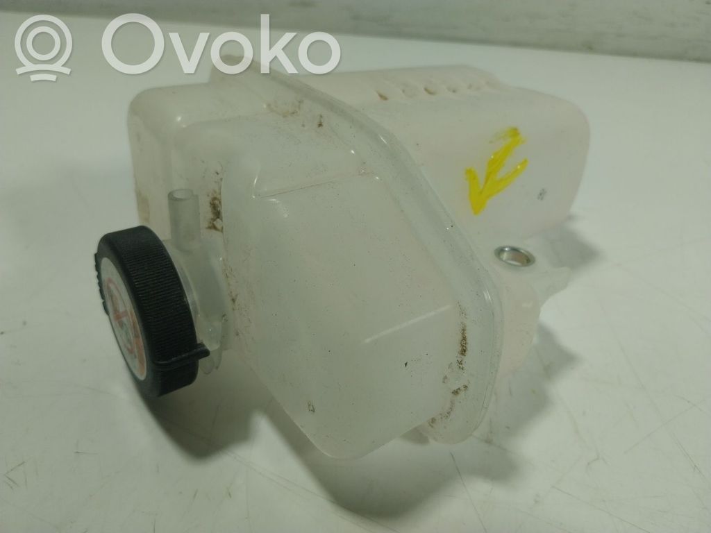 Toyota RAV 4 (XA50) Vas expansiune combustibil 