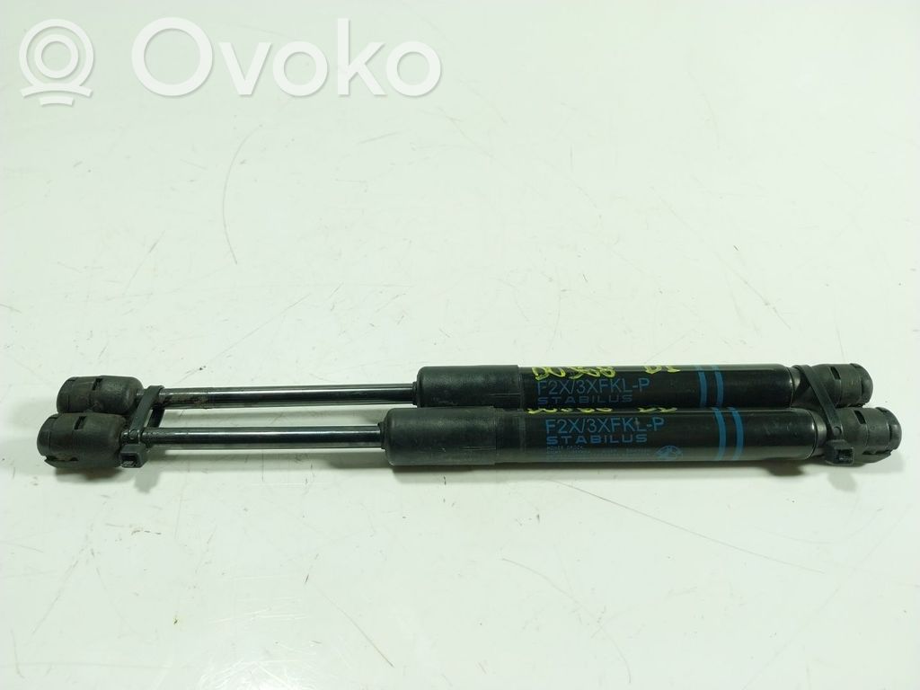 BMW 1 F20 F21 Ammortizzatore portellone anteriore/cofano 