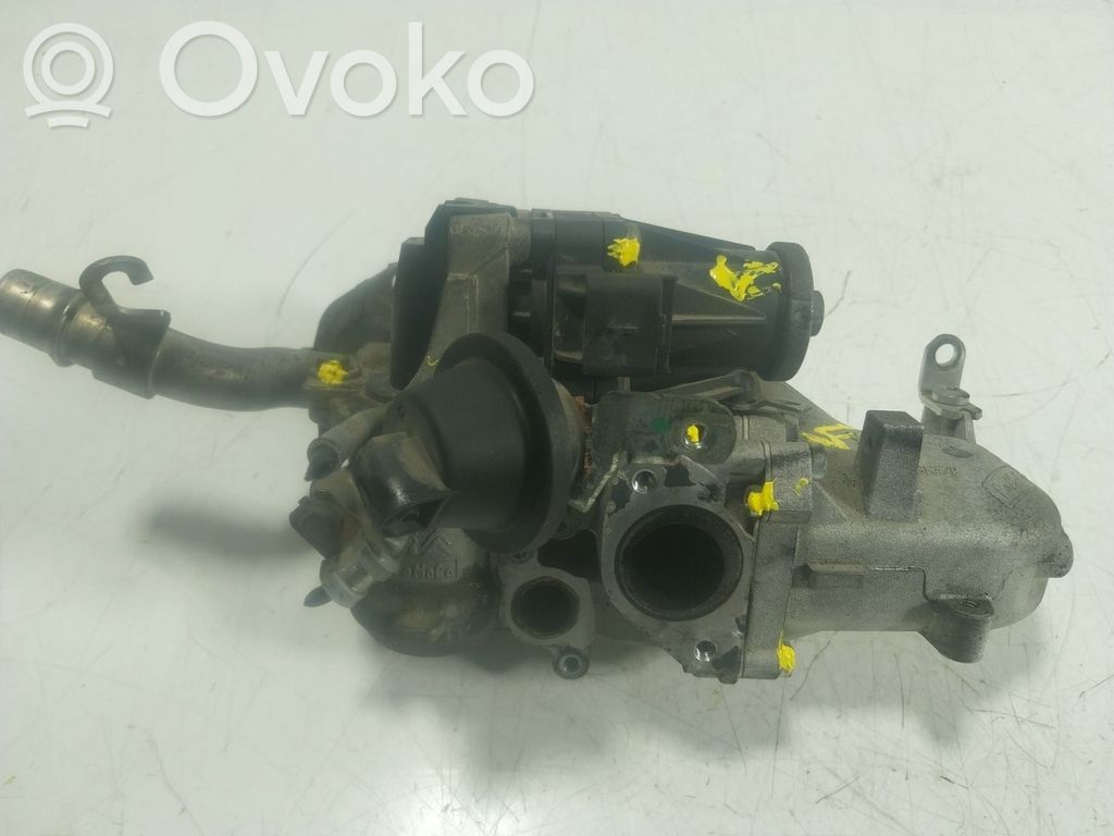 Válvula EGR   1618LN,702209140