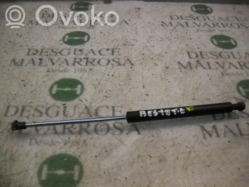Amortiguador/puntal del maletero/compartimento de carga