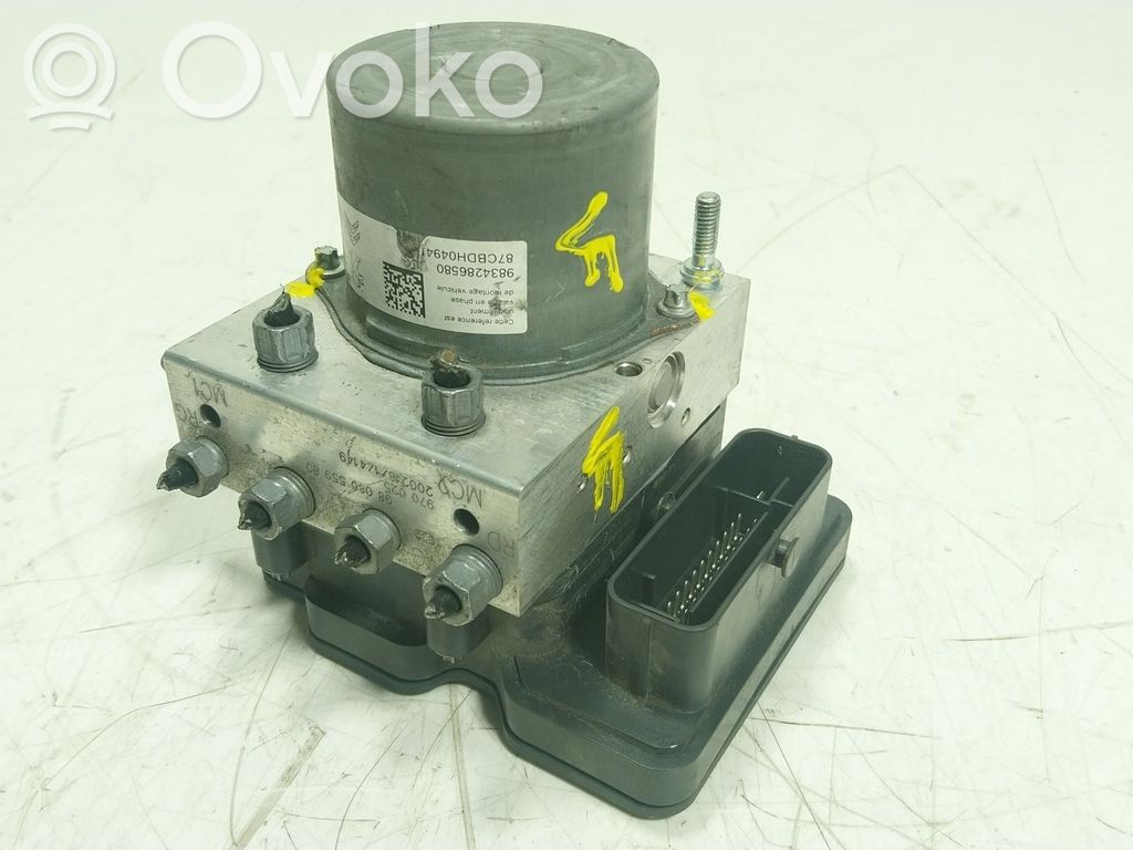 ABS Pump   9808055980