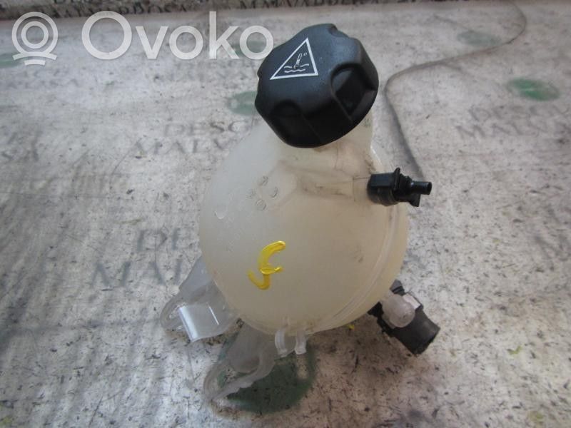 Citroen C3 Vaso di espansione carburante