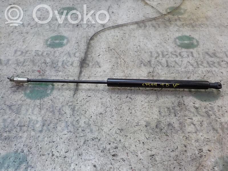 Amortizor hayon   8731W4