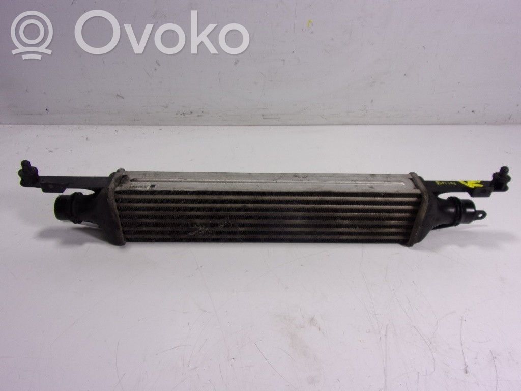 Intercooler radiator   55702194,872051100