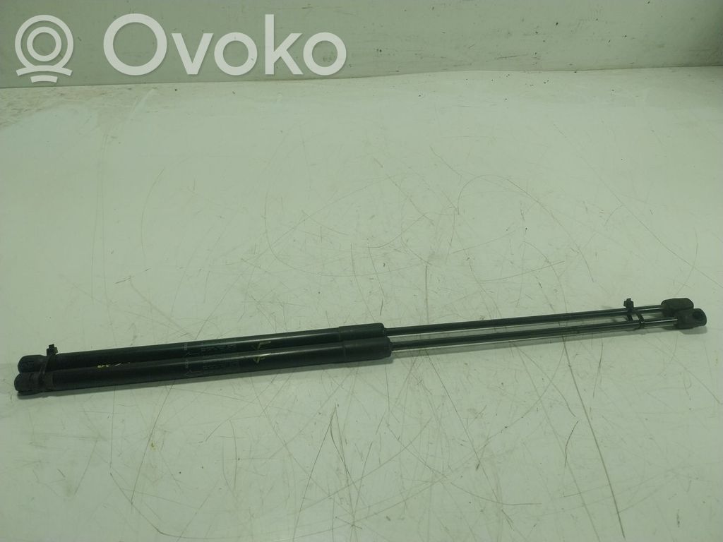 Amortizor hayon   LR025379,BJ32406A10AB