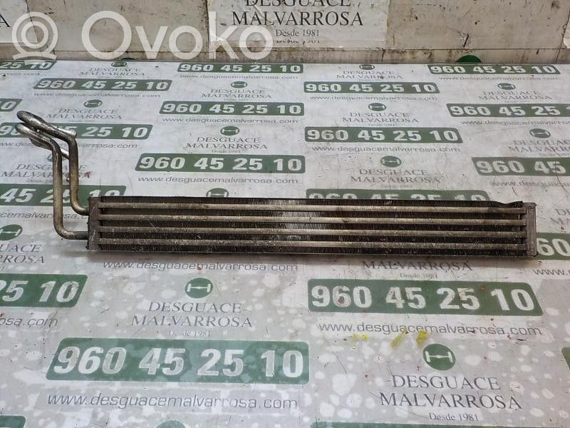 Volkswagen Touareg I Radiator lichid răcire
