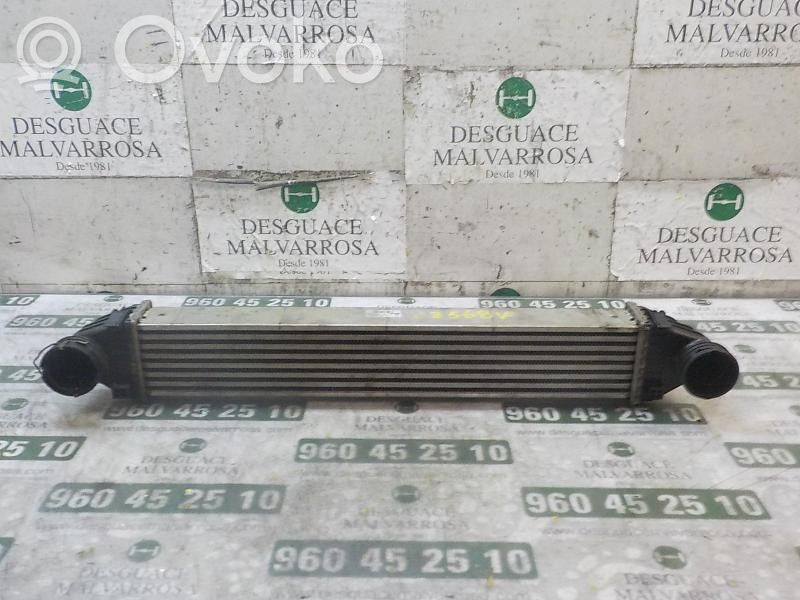 Radiatore intercooler   A1695000000