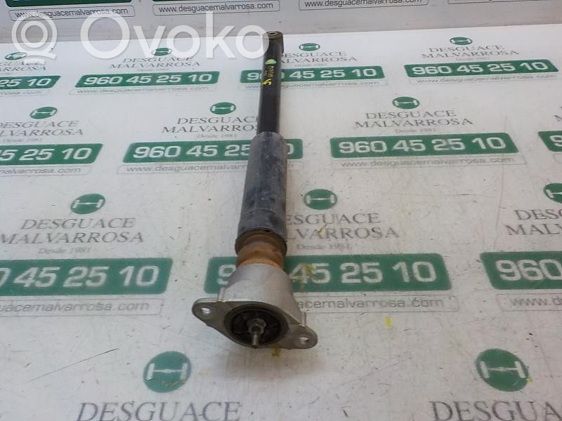Amortizor spate   2101627