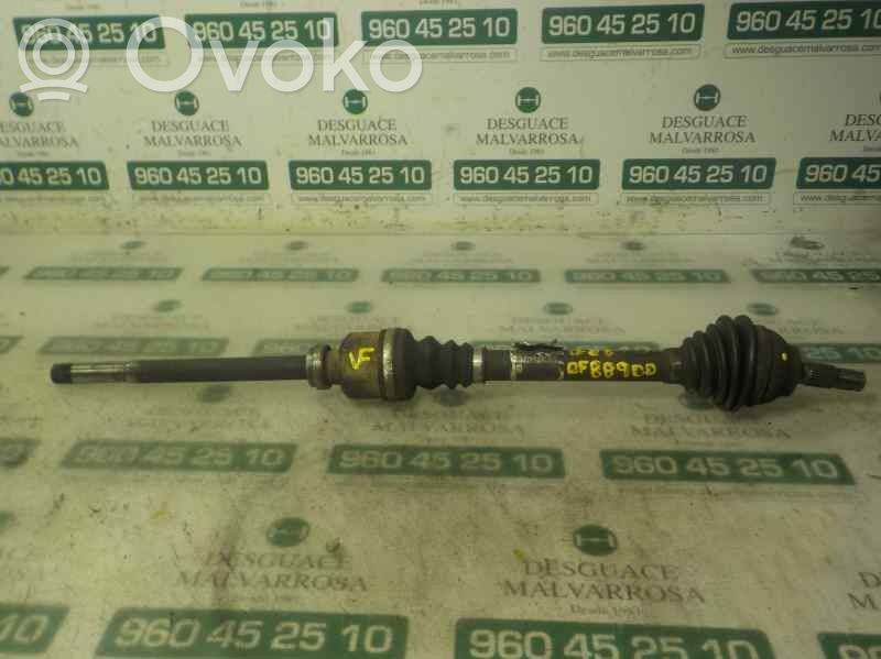 Semiasse anteriore   3273LP