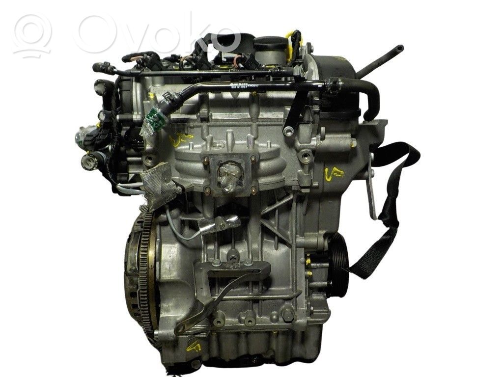 Seat Ibiza IV (6J,6P) Variklis 