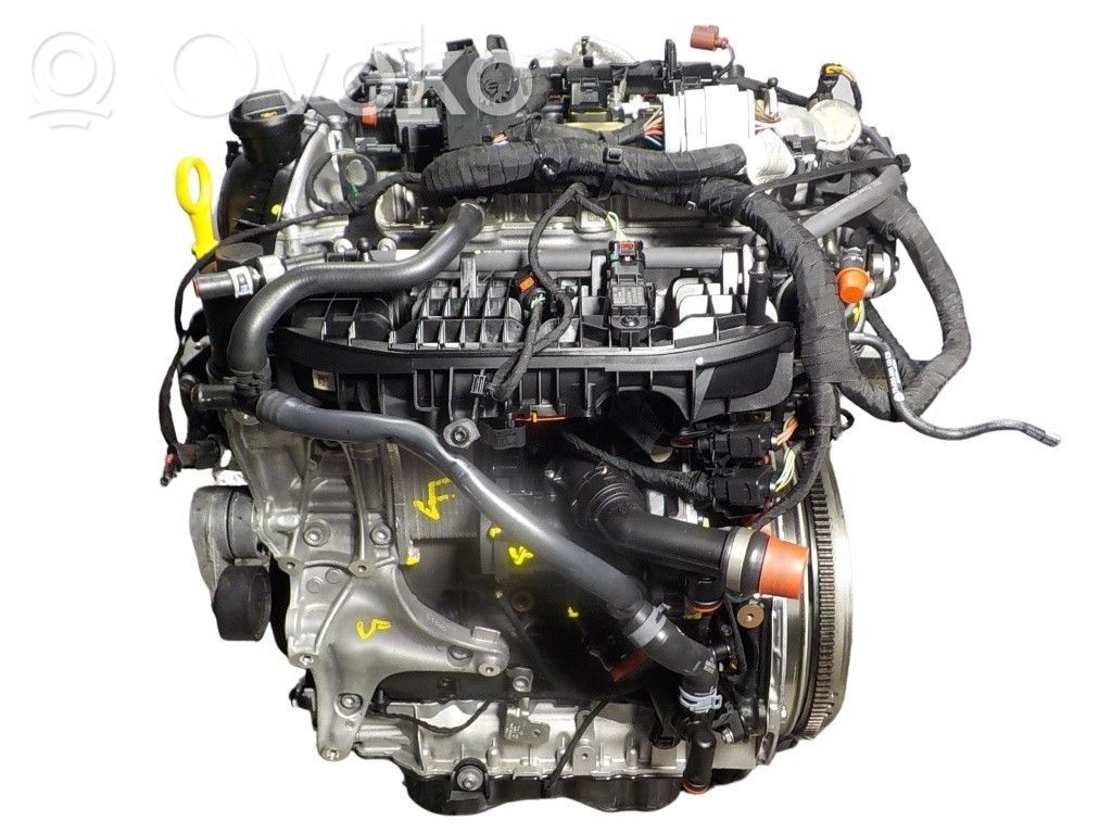 Engine   06Q100031F,DNP