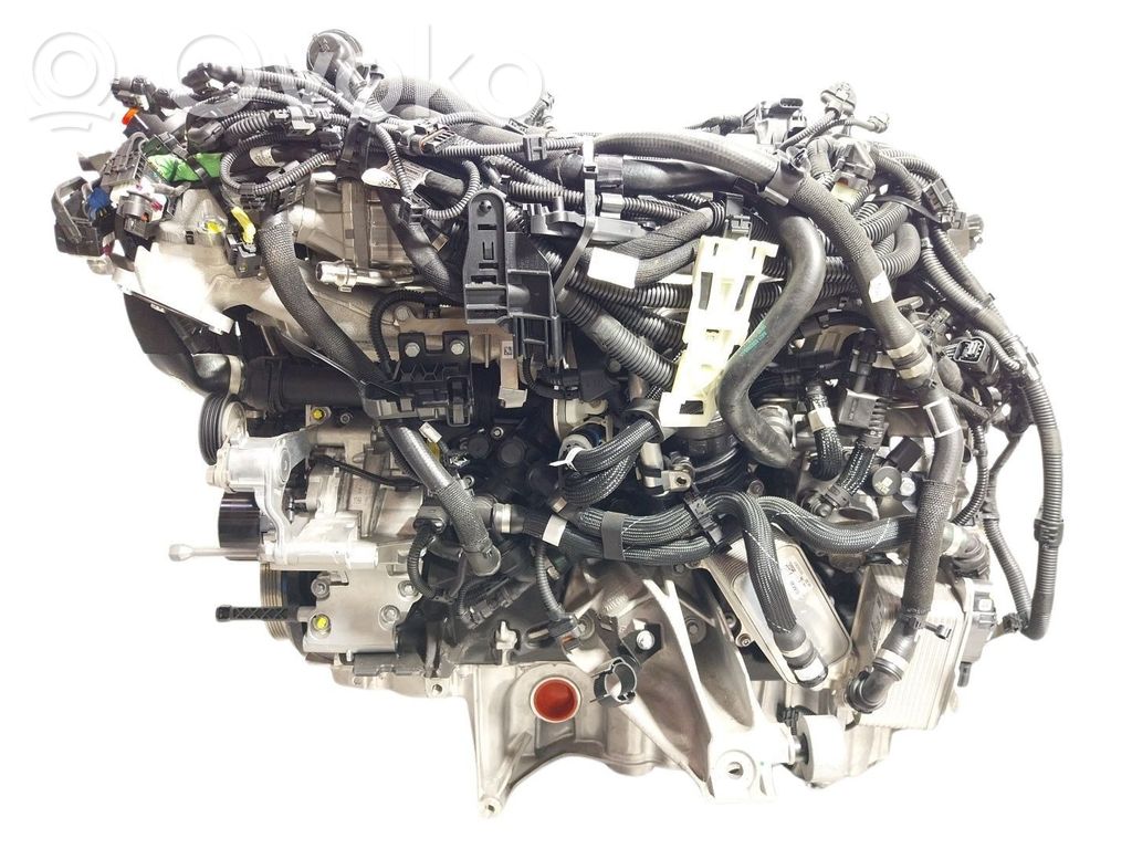 BMW X5 G05 Variklis 