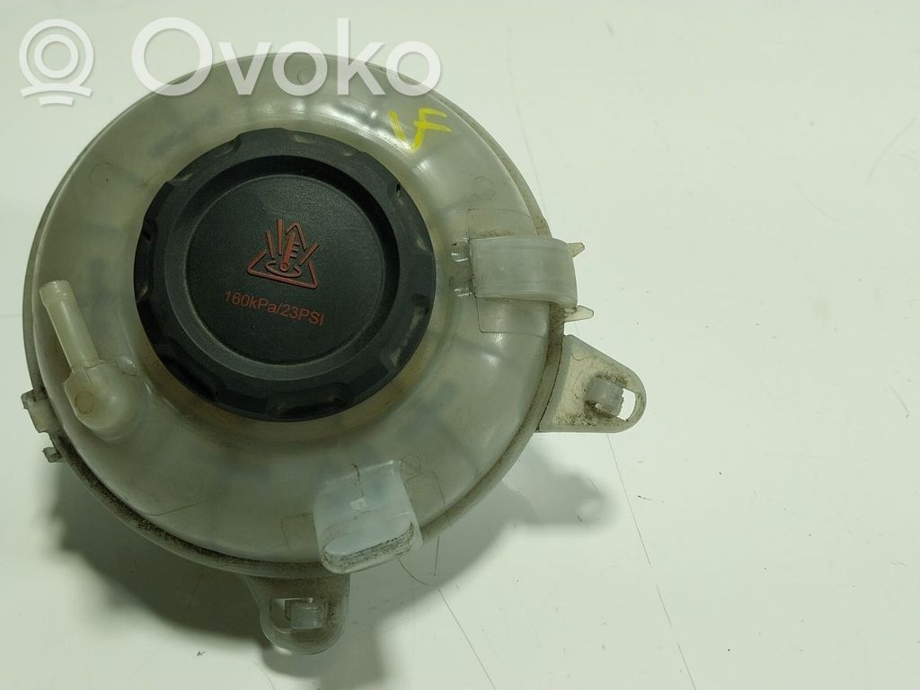 Skoda Octavia Mk4 Vas expansiune combustibil 