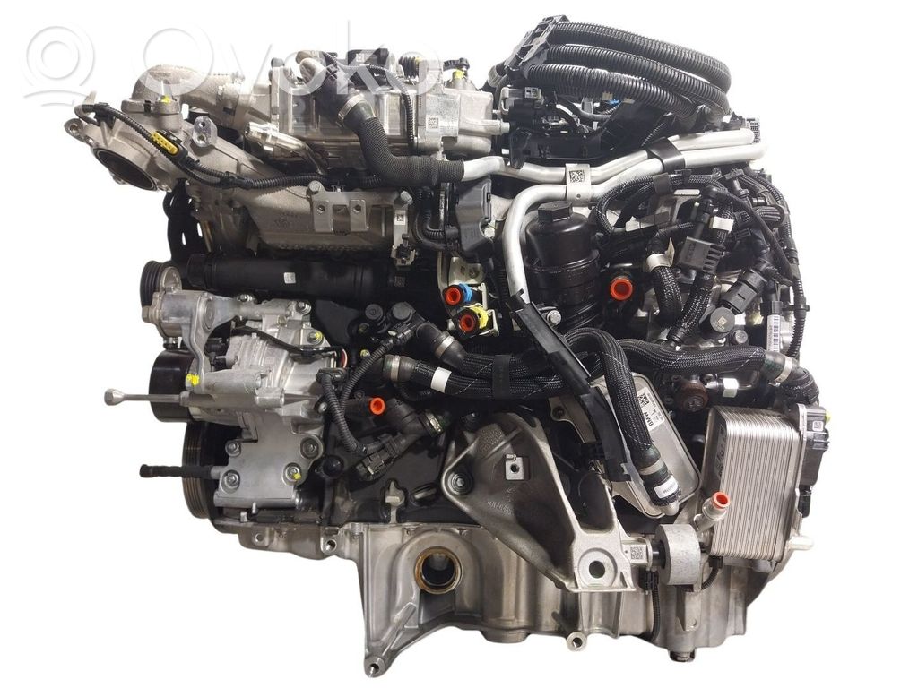 Variklis   11005A64C60,B57D30B,B57D30B