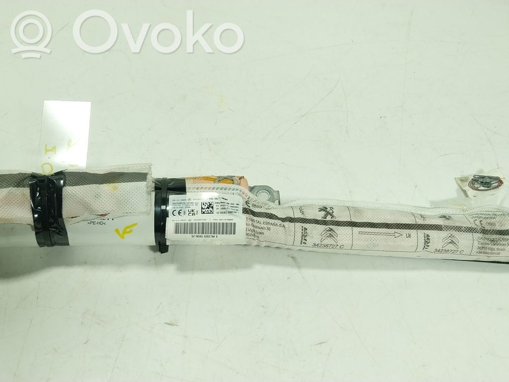 Toyota Proace Airbag de la puerta delantera 