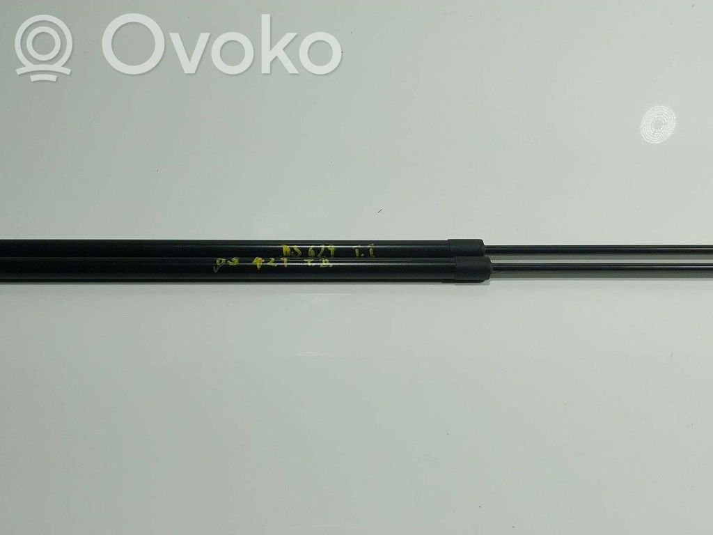 Nissan Townstar Tailgate/trunk strut/damper