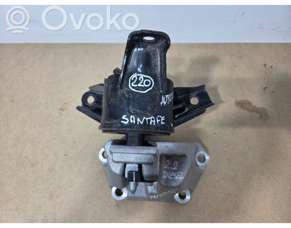Hyundai Santa Fe Engine mounting bracket 