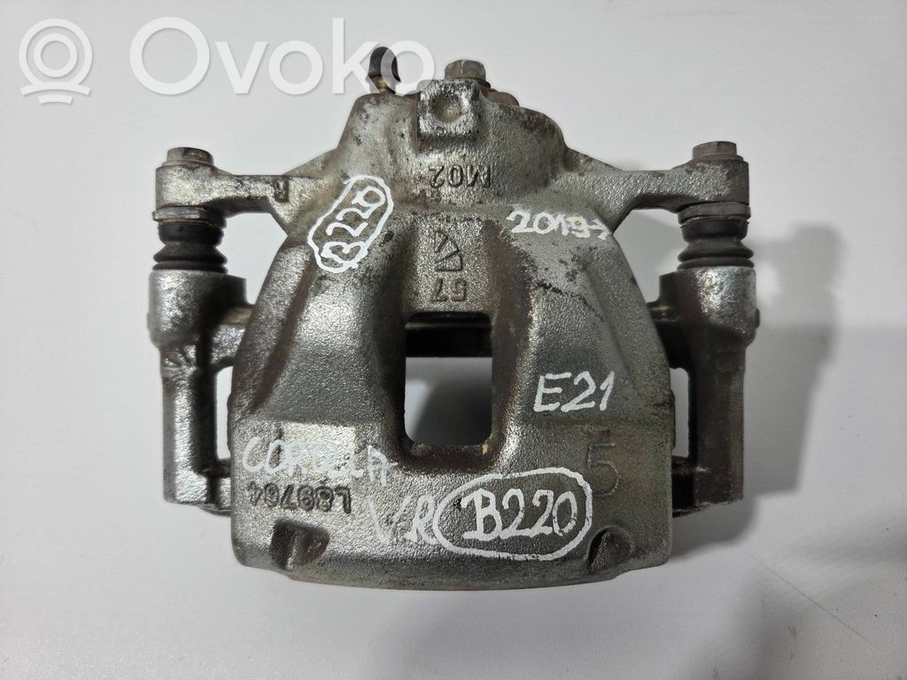 Etujarrusatula   L89764