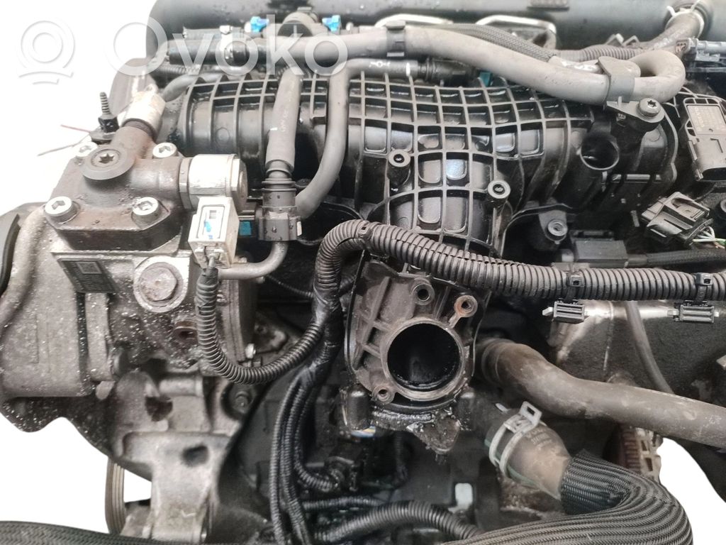 Variklis   D4204T14