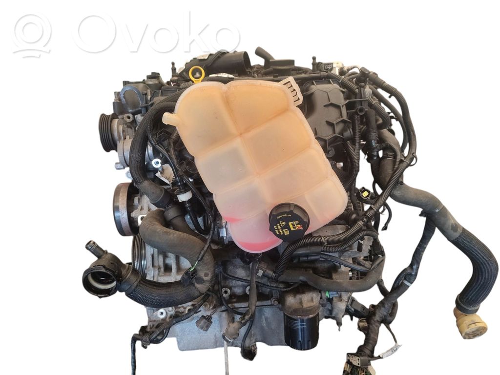 Engine   EV486BA,EV486BA,599204,EV486BA
