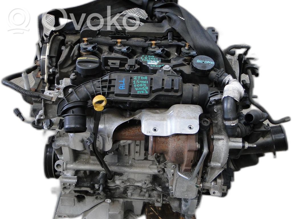 Motor
