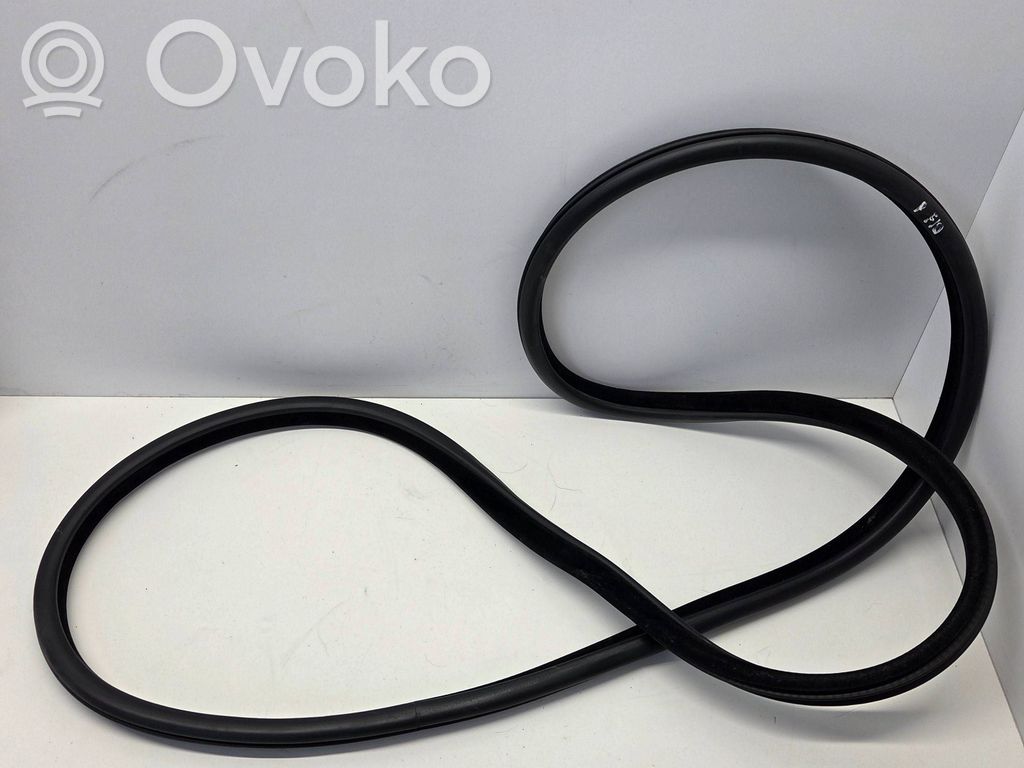 BMW 5 F10 F11 Front door rubber seal 