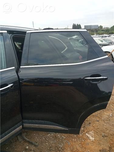 Rear door   10316503SEPP