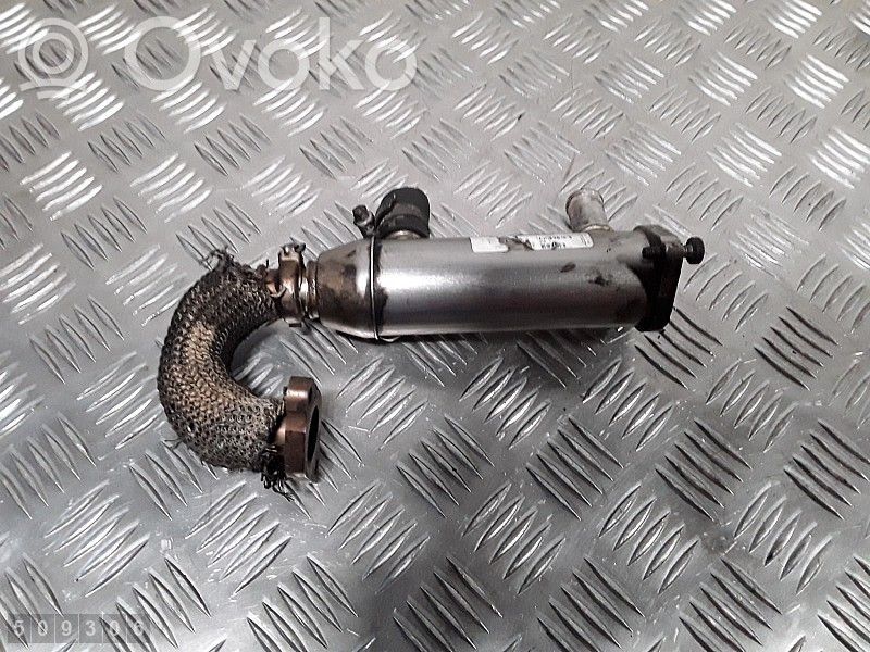 Citroen C6 Chłodnica spalin EGR 