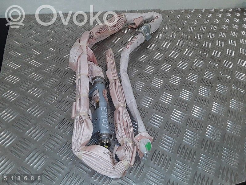 Airbag del techo   1096153