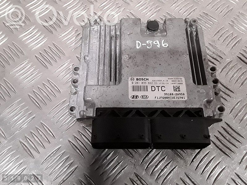 Engine control unit/module   391602A950,0281033842
