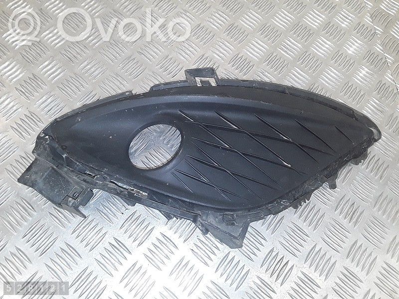 Front grill   C51350C21