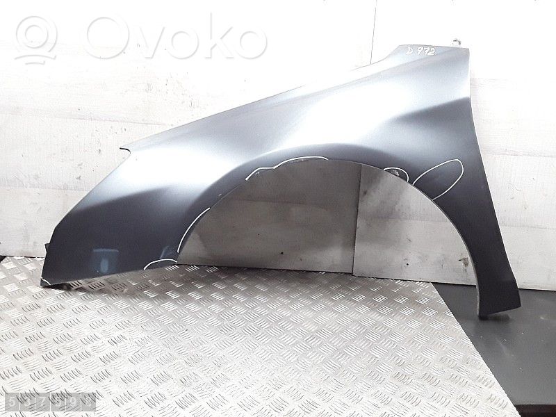 Citroen C5 Lokasuoja 