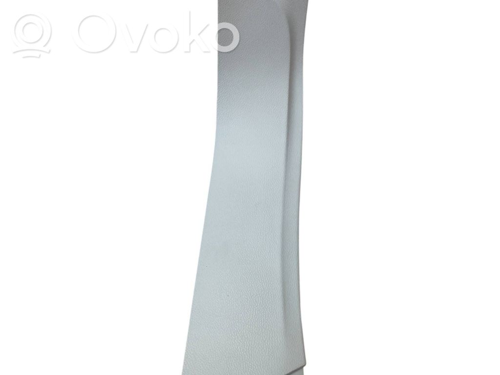 Chrysler Pacifica Tailgate trim 