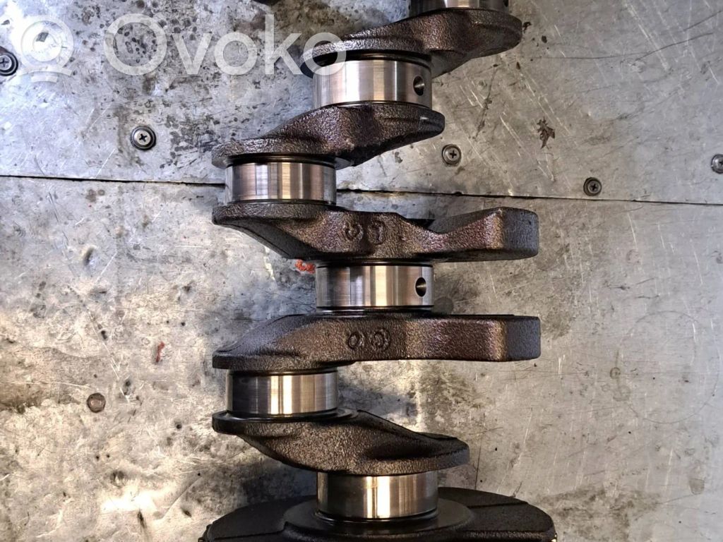Crankshaft   N43B20A