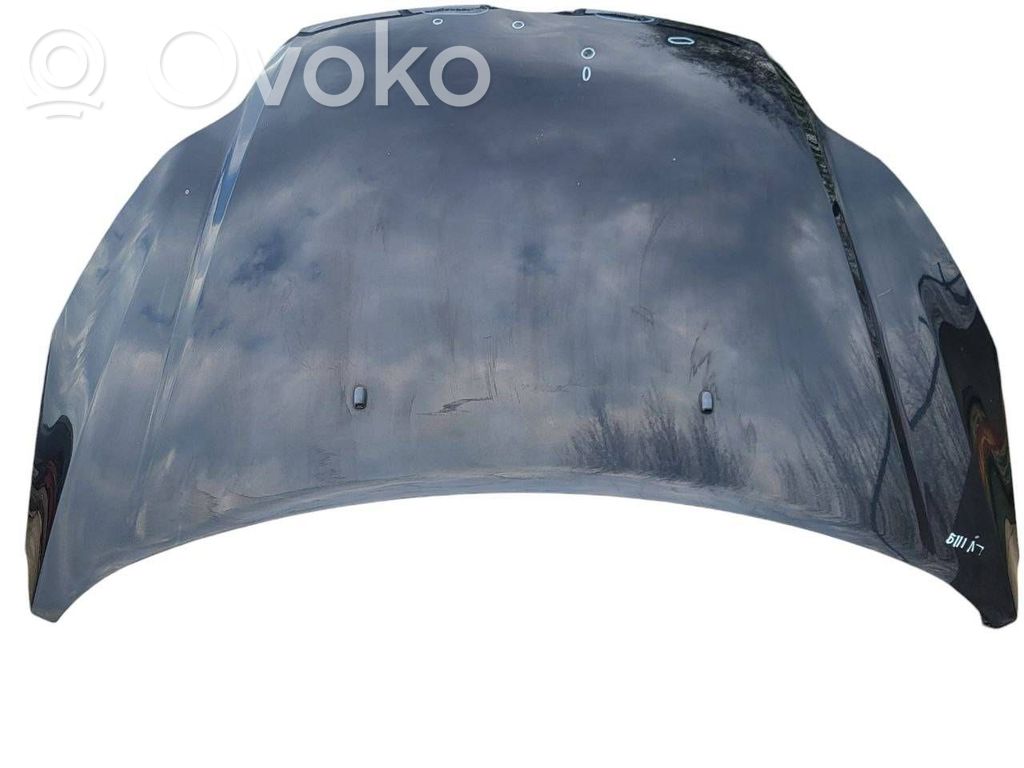 Engine bonnet/hood