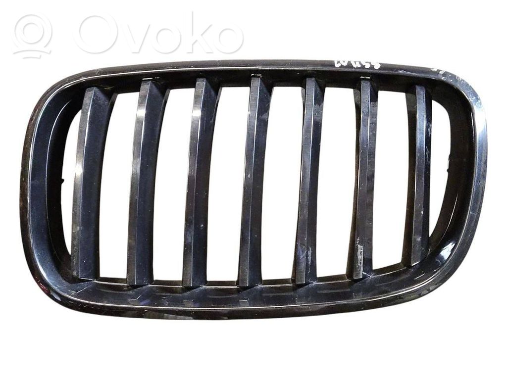 BMW X5 E70 Front bumper upper radiator grill 