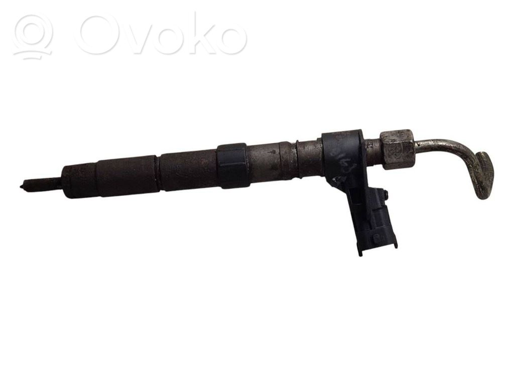 Land Rover Freelander 2 - LR2 Inyector de combustible 