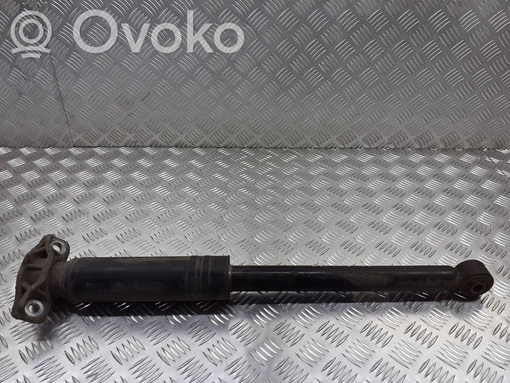 Stoßdämpfer hinten   13420233