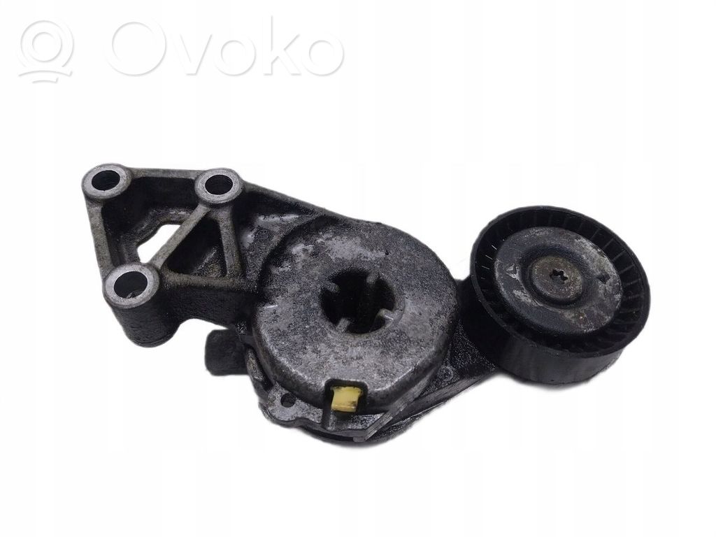 Skoda Octavia Mk2 (1Z) Rolă întinzător curea alternator 