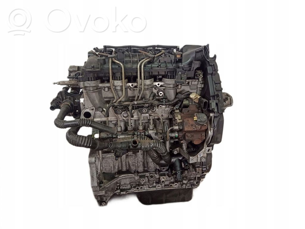 Ford Focus Motor 