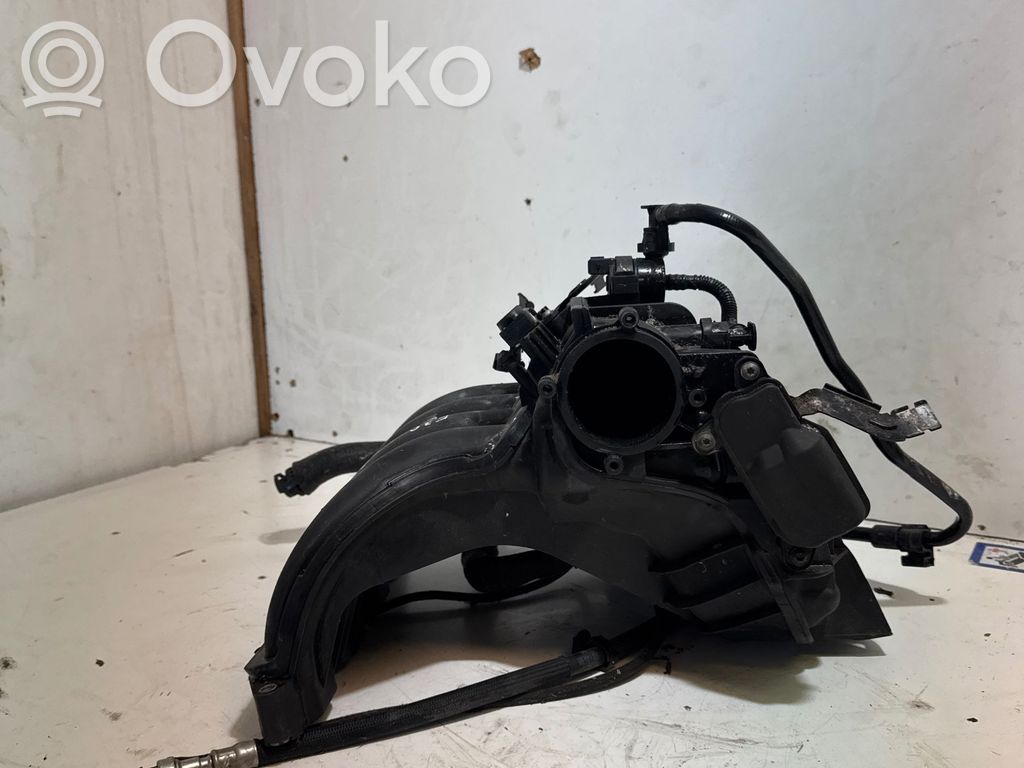 Kolektorius įsiurbimo   70308150