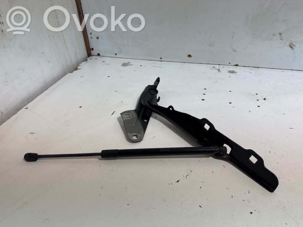 Engine bonnet/hood hinges   307AB0701B2,B40,3T84