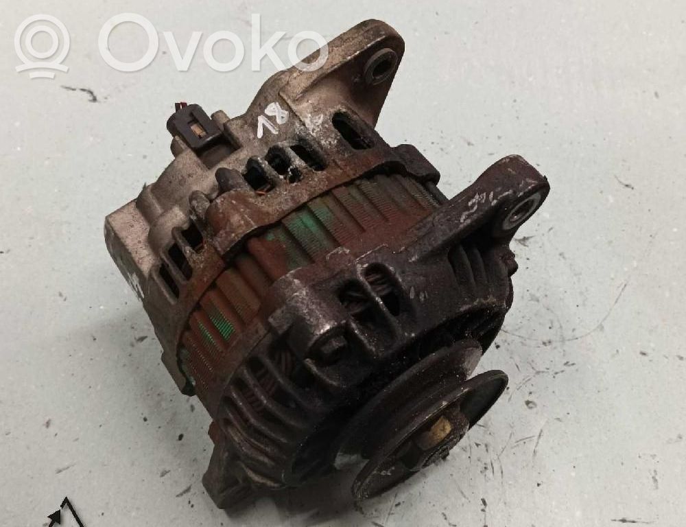 Generator/alternator   96314258