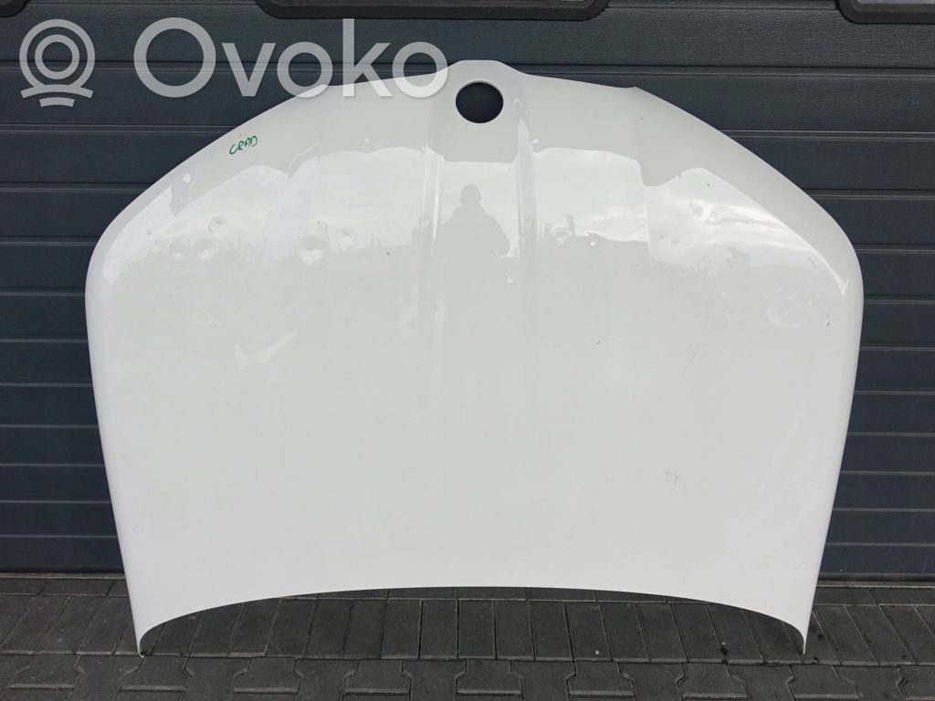 Dzinēja pārsegs (vāks)   8737174