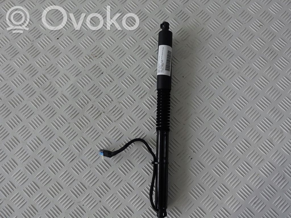 Tailgate strut   7397322,7397322