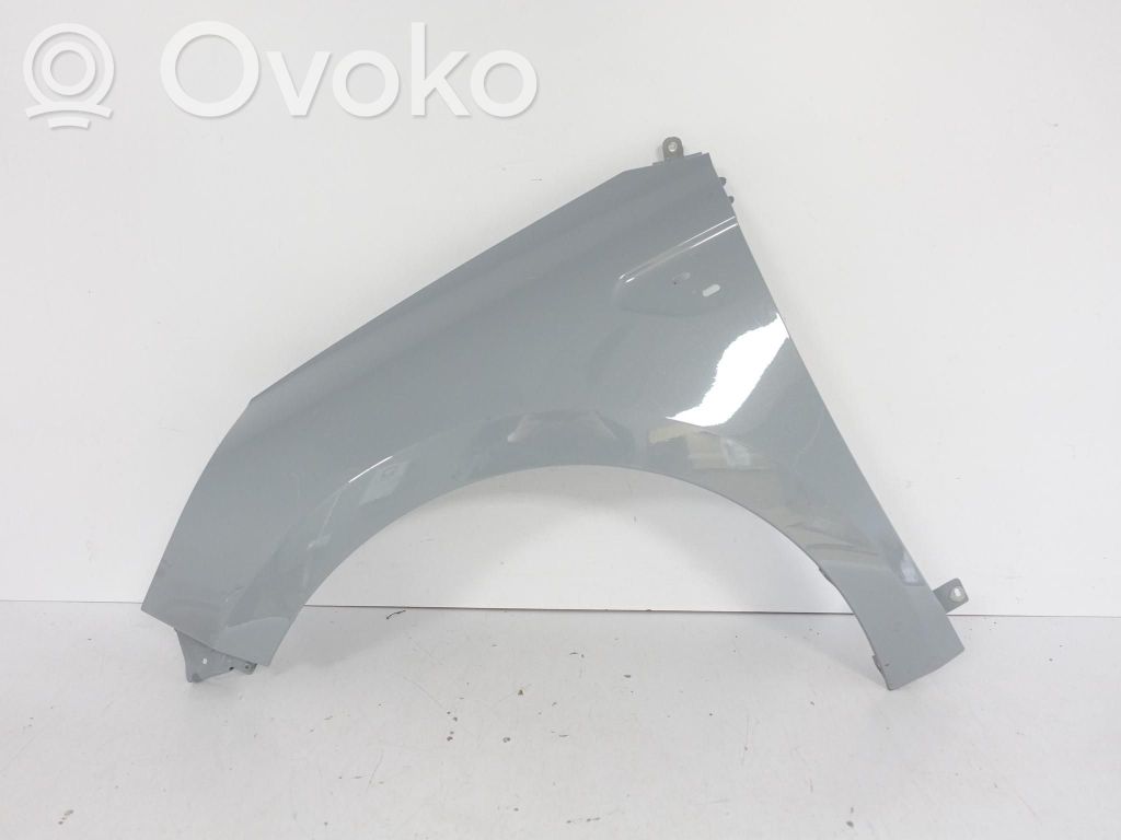 Guardabarro   625616679R,625616879R