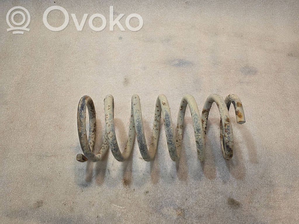 Rear coil spring