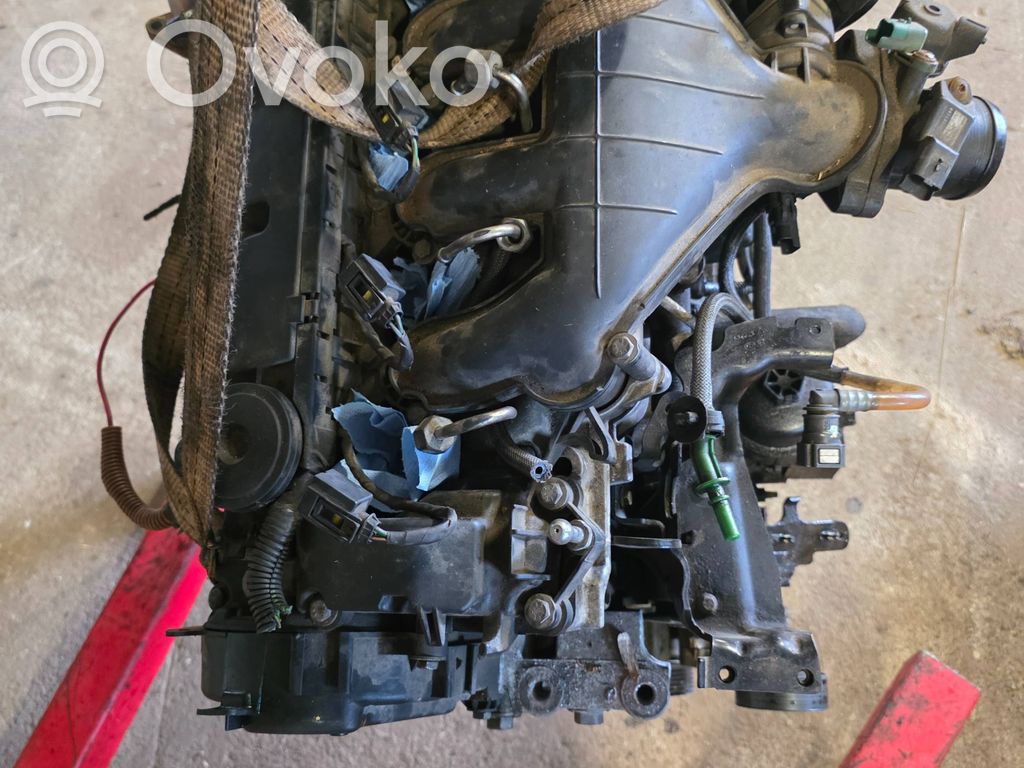 Motor