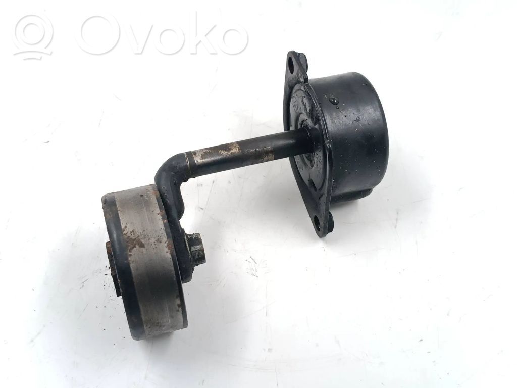 BMW 5 E39 Tensor de correa del alternador 